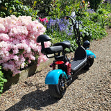 Electric Scooter Mini Jazz + Select your FENDERS!