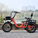 electric trike wide wheel base very safe