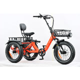 electric trike wide wheel base very safe