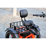 E-Trike T-3  is this the best trike in NZ?... YES