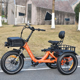 electric trike wide wheel base very safe