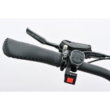 E-Trike T-3  is this the best trike in NZ?... YES