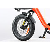 E-Trike T-3  is this the best trike in NZ?... YES