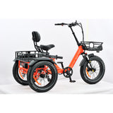 electric trike wide wheel base very safe