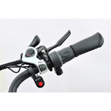 E-Trike T-3  is this the best trike in NZ?... YES