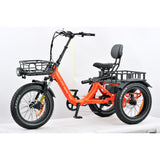 electric trike wide wheel base very safe