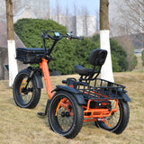 electric trike wide wheel base very safe