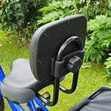 Electric trike e trike mobility trike