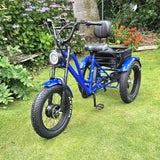 Electric trike e trike mobility trike