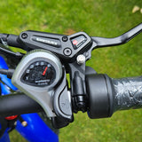 Electric trike e trike mobility trike