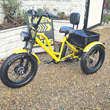 electric trike long distance fat tyre