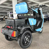 electric mobility trike scooter