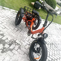 e trike mobility trike