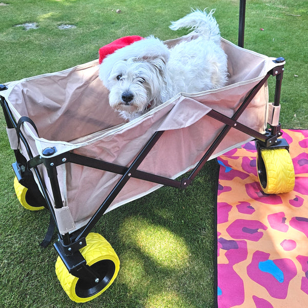 wagon beach cart wide wheel beach cart