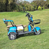 mobility scooter with lithium battery and seats 3 persons