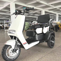 electric mobility trike scooter