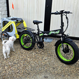 cycle pet trailer