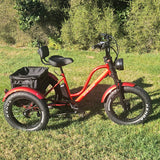 Red electric tricycle with a black seat and basket on a grassy area with trees in the background