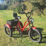 Red electric tricycle on grass with greenery in the background