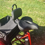 Black seat and backrest on a red bike frame against a grassy background