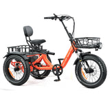 E-Trike More Stability with Slide Seat Model T-3 NEW STOCK END MARCH