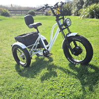 electric trike mobility trike shopping trike white