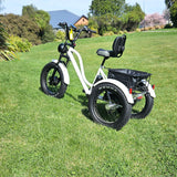 electric trike mobility trike shopping trike white