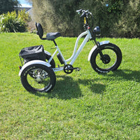 electric trike mobility trike shopping trike white