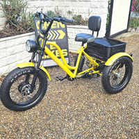 electric trike long distance fat tyre