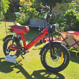 dual suspension 20 inch fat tyre Electric bike